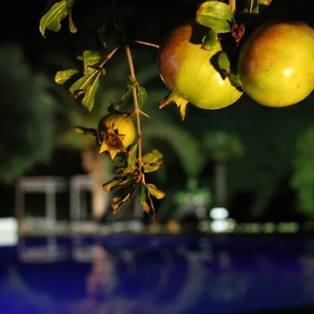 Terranobile Metaresort