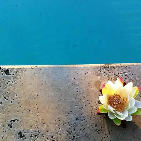 Terranobile Metaresort Hotel Bari