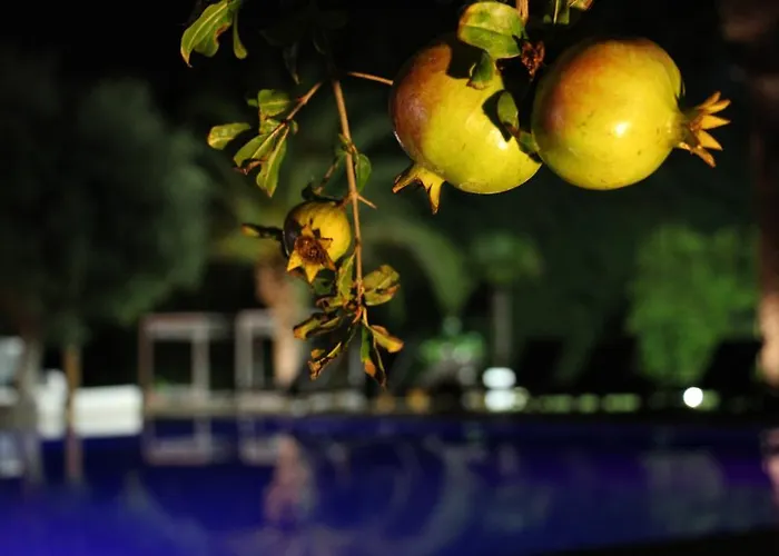 テラノビーレ メタリゾート